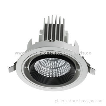 High-lumen 30W 5-year Warranty LED Cob Down Light
